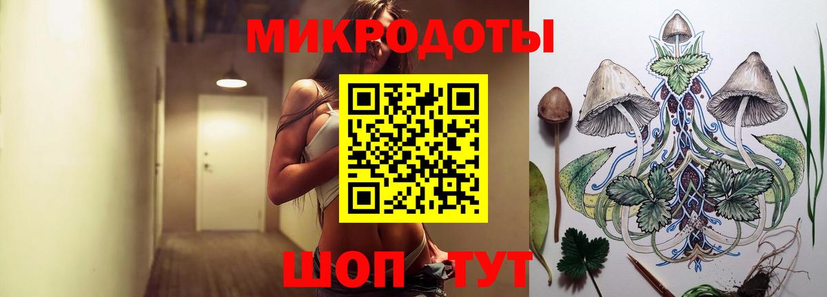Псилоцибиновые грибы Psilocybe  Вход с VPN  Полысаево 